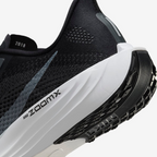 Nike Air Zoom Pegasus Plus - Preto/Branco